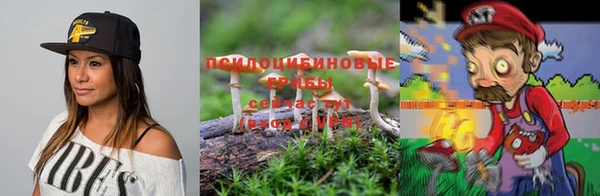 винт Костерёво