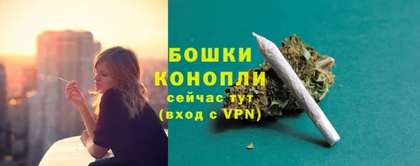 винт Костерёво