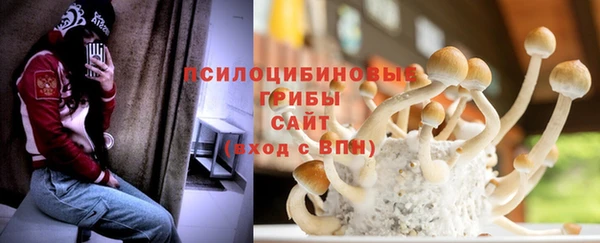 винт Костерёво